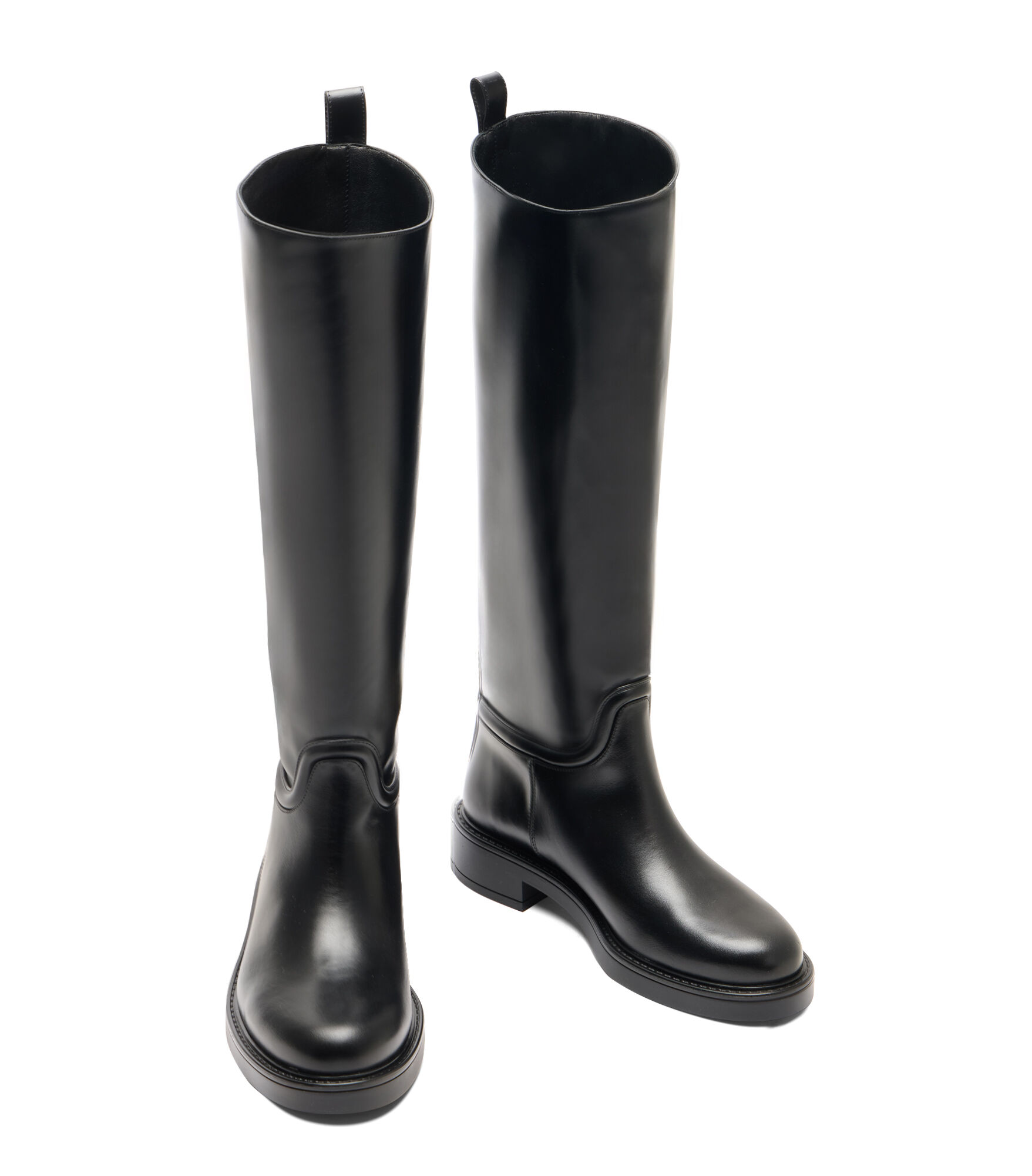 CELIA RIDING BOOT in BLACK for Women Stuart Weitzman