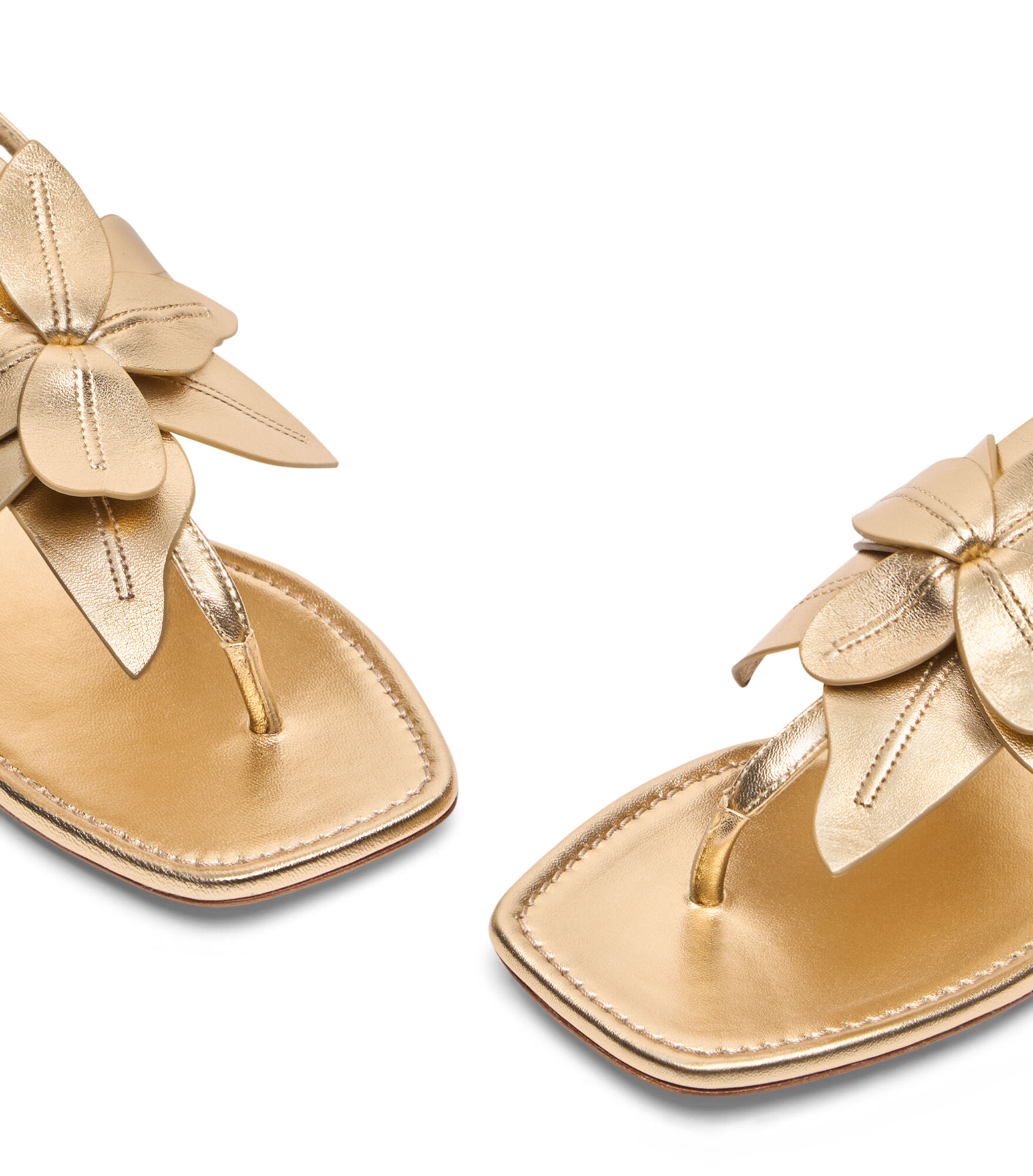 PARADISE SANDAL in GOLDEN for Women | Stuart Weitzman®
