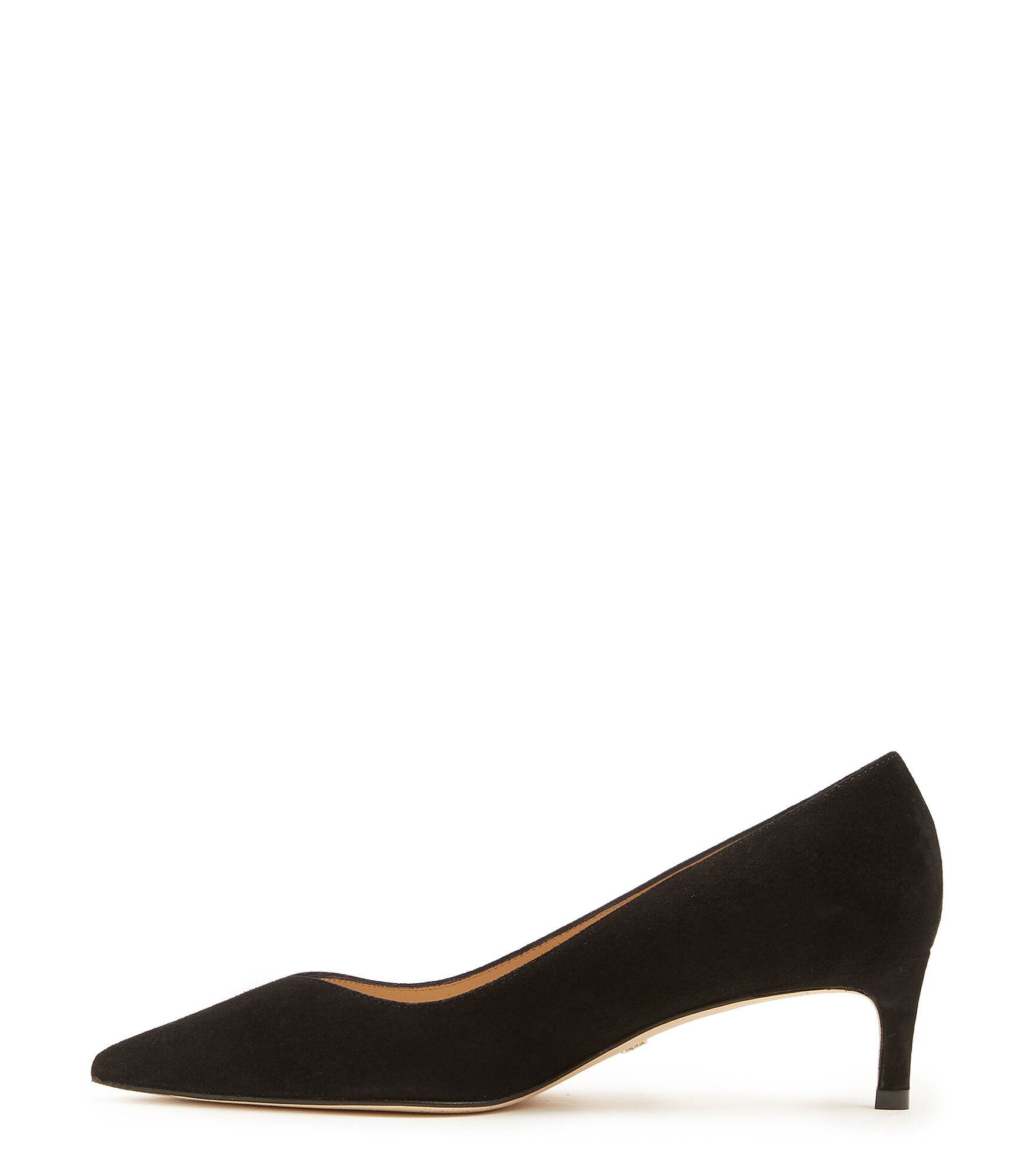 Stuart discount weitzman anny