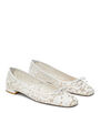 Stuart Weitzman ARABELLA BALLET FLAT undefined ${masterID} 2